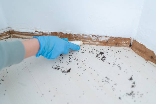 Professional Pest control in Oxford, MI